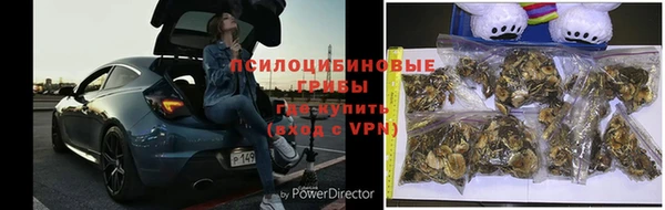 прущие крисы Алексеевка