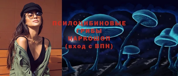 дмт Алзамай