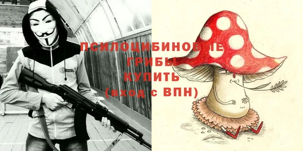 дмт Алзамай