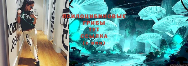 дмт Алзамай