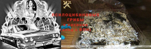 стафф Алексин