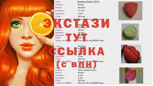 стафф Алексин