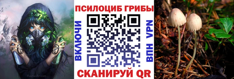 где найти наркотики  Приморск  Галлюциногенные грибы Cubensis 